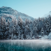 Alps